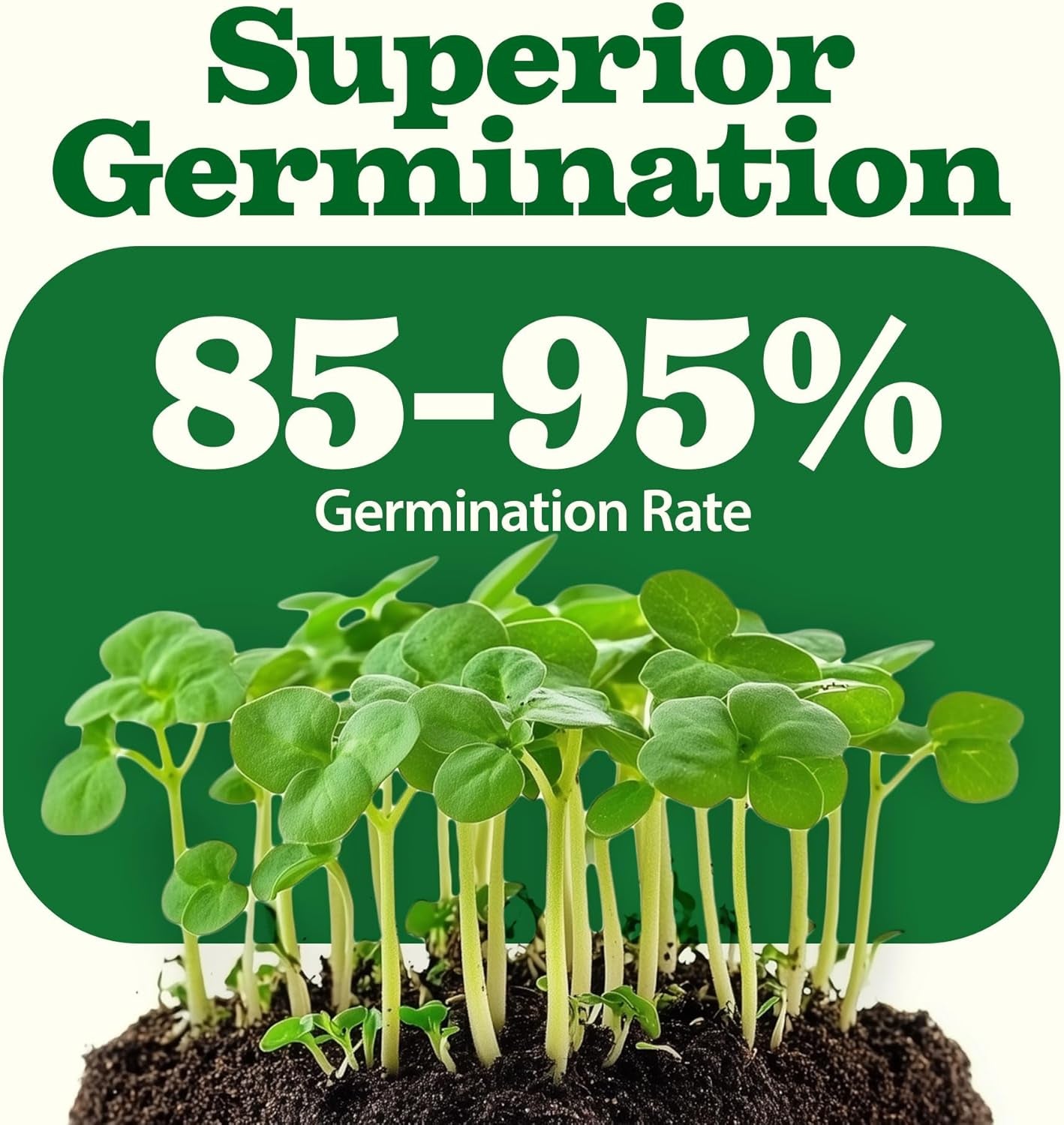 𝗨𝗦𝗔 𝗣𝗥𝗘𝗠𝗜𝗨𝗠 55 Vegetable Seeds Pack 28,000+ Non-Gmo Heirloom Seeds for Planting Vegetables, Survival Seed Vault, Garden Kit for Spring Fall Winter, Gift for Gardeners