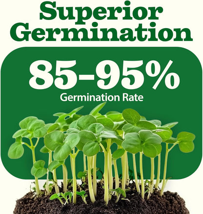 𝗨𝗦𝗔 𝗣𝗥𝗘𝗠𝗜𝗨𝗠 55 Vegetable Seeds Pack 28,000+ Non-Gmo Heirloom Seeds for Planting Vegetables, Survival Seed Vault, Garden Kit for Spring Fall Winter, Gift for Gardeners
